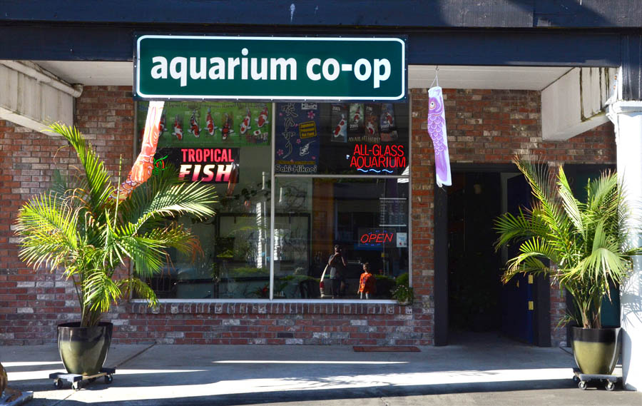 Local Fish Store Aquarium Co-op